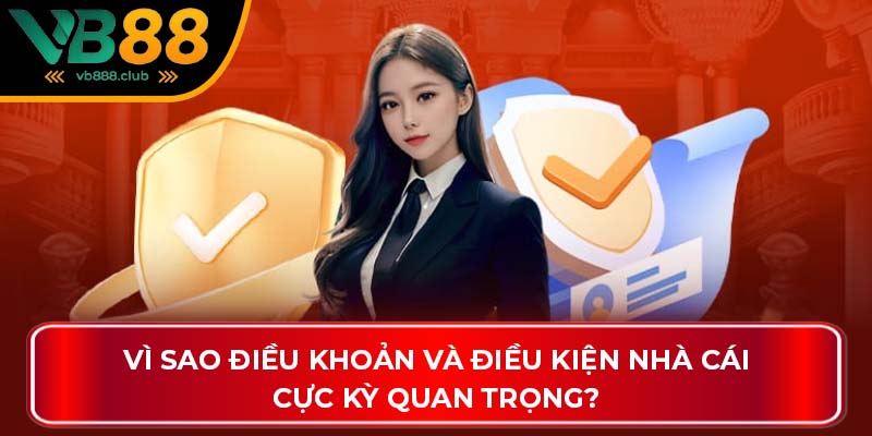 Vì sao điều khoản và điều kiện nhà cái cực kỳ quan trọng?